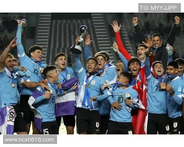 南京足球队以66分稳居世界杯积分榜首位争夺冠军希望大增