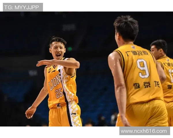 南京篮球队球员个人能力分析与表现评估研究报告